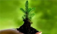 فقه حکومتى و محیط‏ زیست