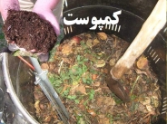 کمپوست