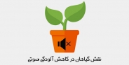 نقش گیاهان در کاهش آلودگی صوتی