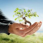 حفظ محیط زیست از دیدگاه اسلام