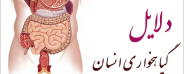 انسان گیاهخوار است یا گوشتخوار؟