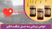 خواص درمانی عسل آویشن و کنار و سیاه دانه