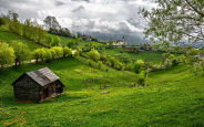 شعر طبیعت