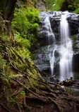 Environmental Scientists and Specialists