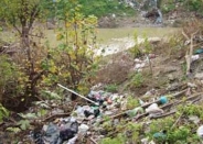 مادر محیط زیست ایران: حریصانه به جان طبیعت افتاده ایم